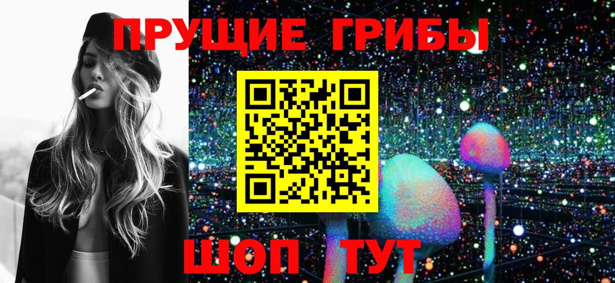 Псилоцибиновые грибы Cubensis  Вход с VPN  Ефремов 